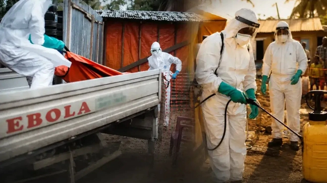 Kongo'da yeni bir Ebola salgını meydana geldi-Haber-Manset